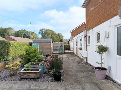 Picture 20